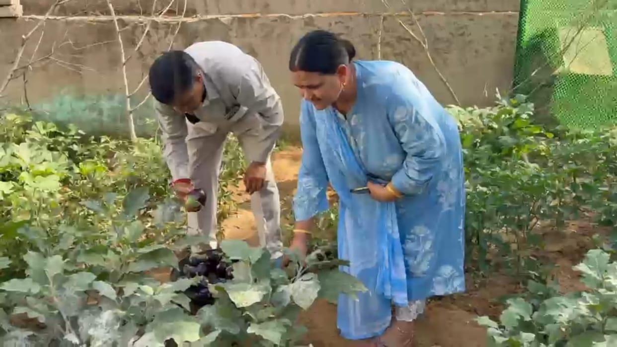 They sowed it themselves, then ate it with relish as part of their mid-day meal.
