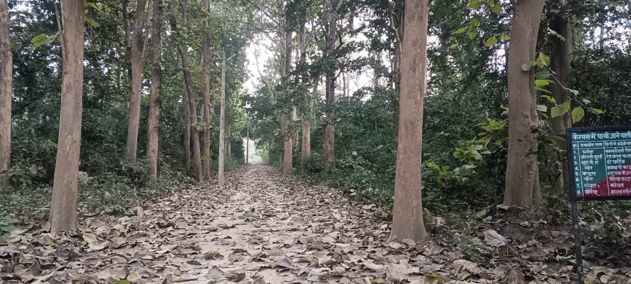 Border vigilance increased after Nepal's new restrictions