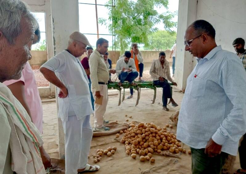 Hathras Potatoes Scorched by the Heat of Global Tensions