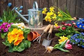 Manju is empowering women to become self-reliant through gardening.