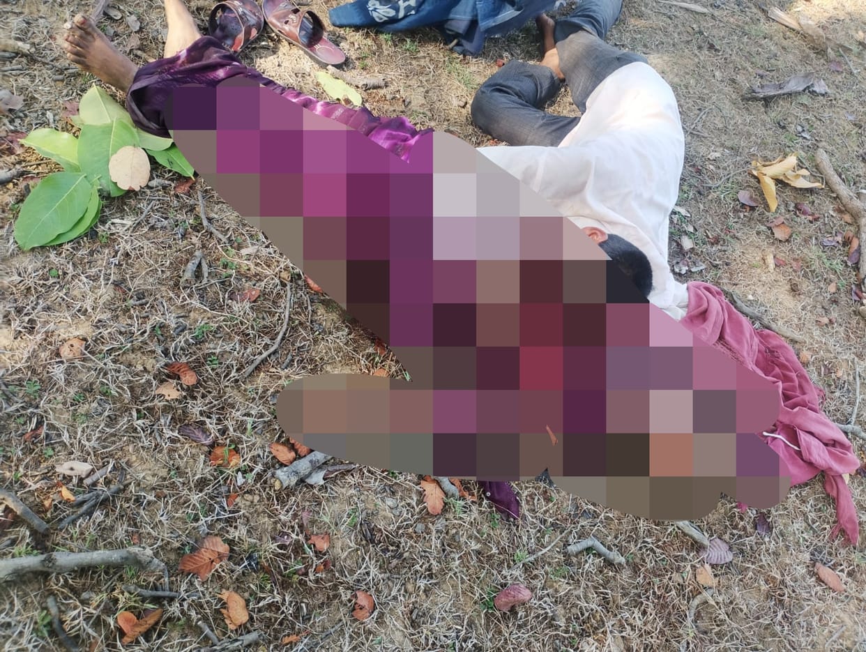 Tiger Attack Claims Womans Life in Panpatha Forest Area