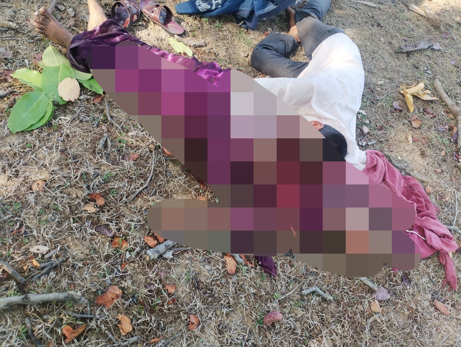 तेंदूपत्ता तोड़ने जंगल गई महिला पर बाघ का हमला, कुदरी गांव में दहशत