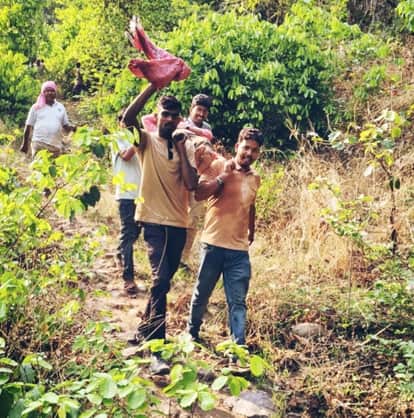 five-member team of scientists from Raigarh University has been attacked by honeybees