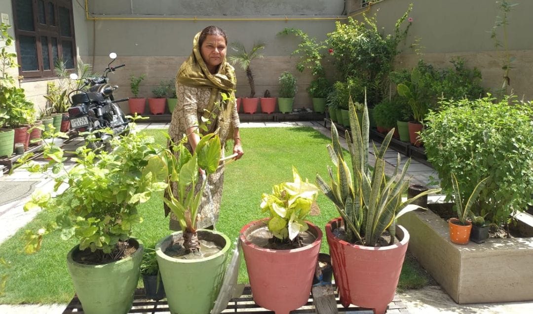 Flowers bloom in Sumitra's garden in every season.
