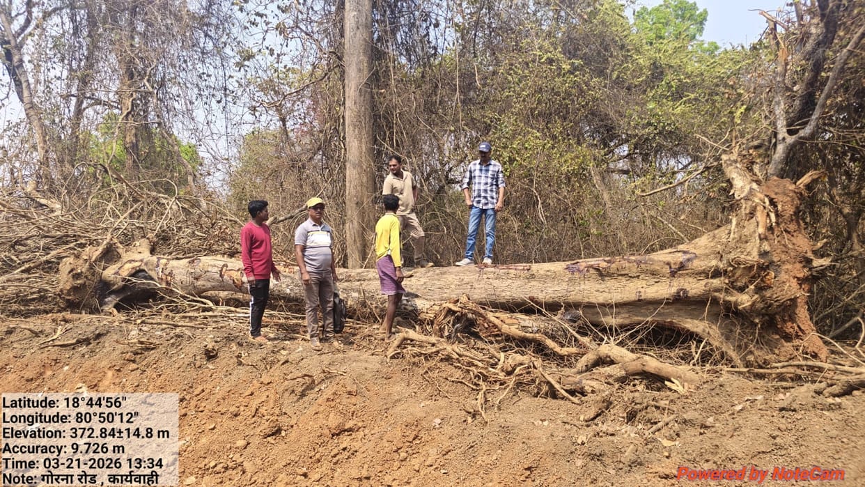 Forest Department Cracks Down on Illegal Felling of 280 Trees During PMGSY Road Construction in Bijapur