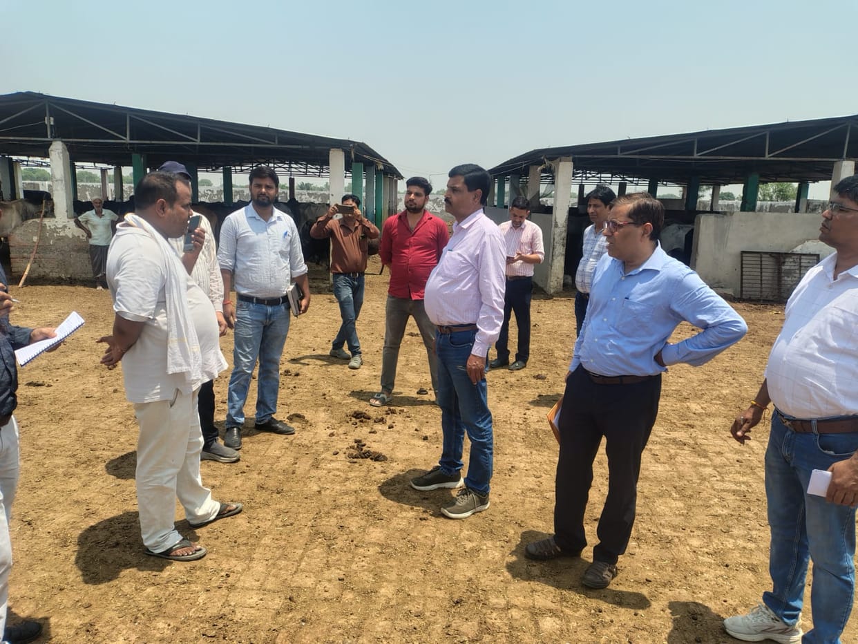 AD angry over shortage of green fodder and straw in cowshed