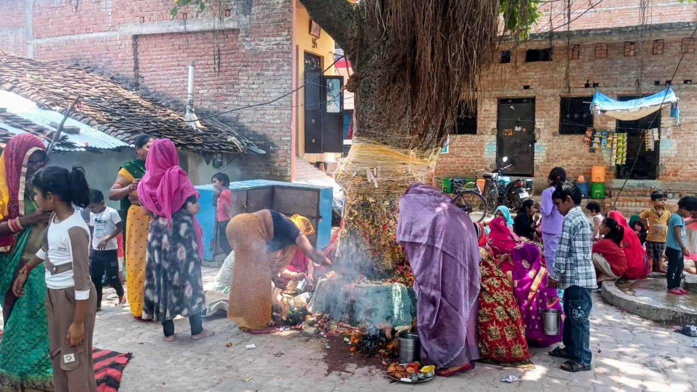 फोटो - 17 तिंदवारी के एक मोहल्ले में बरगद के पेड़ का पूजन करतीं महिलाएं। संवाद