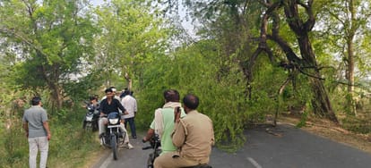 A tree branch fell on the Konch-Nadigaon road, disrupting traffic.