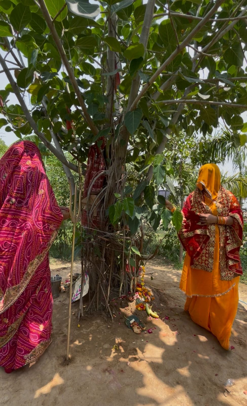 Married women prayed to the banyan tree and asked for eternal happiness.
