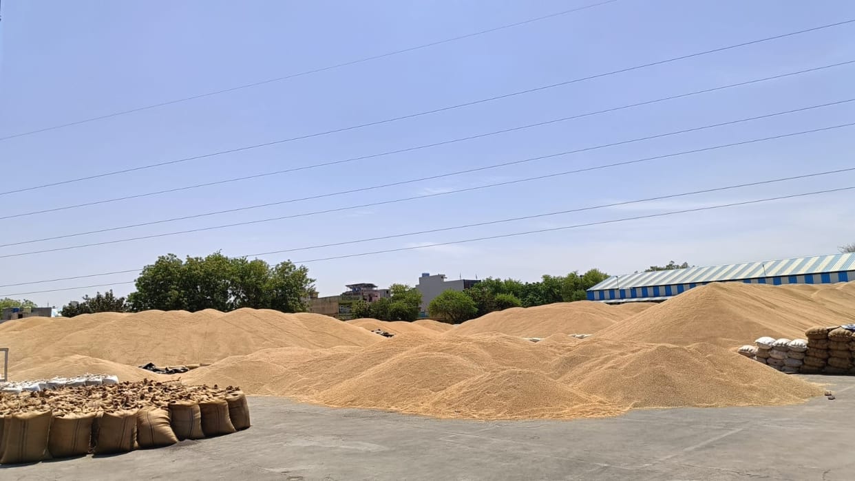 6.84 lakh quintals of wheat and 2.38 lakh quintals of mustard reached the mandis