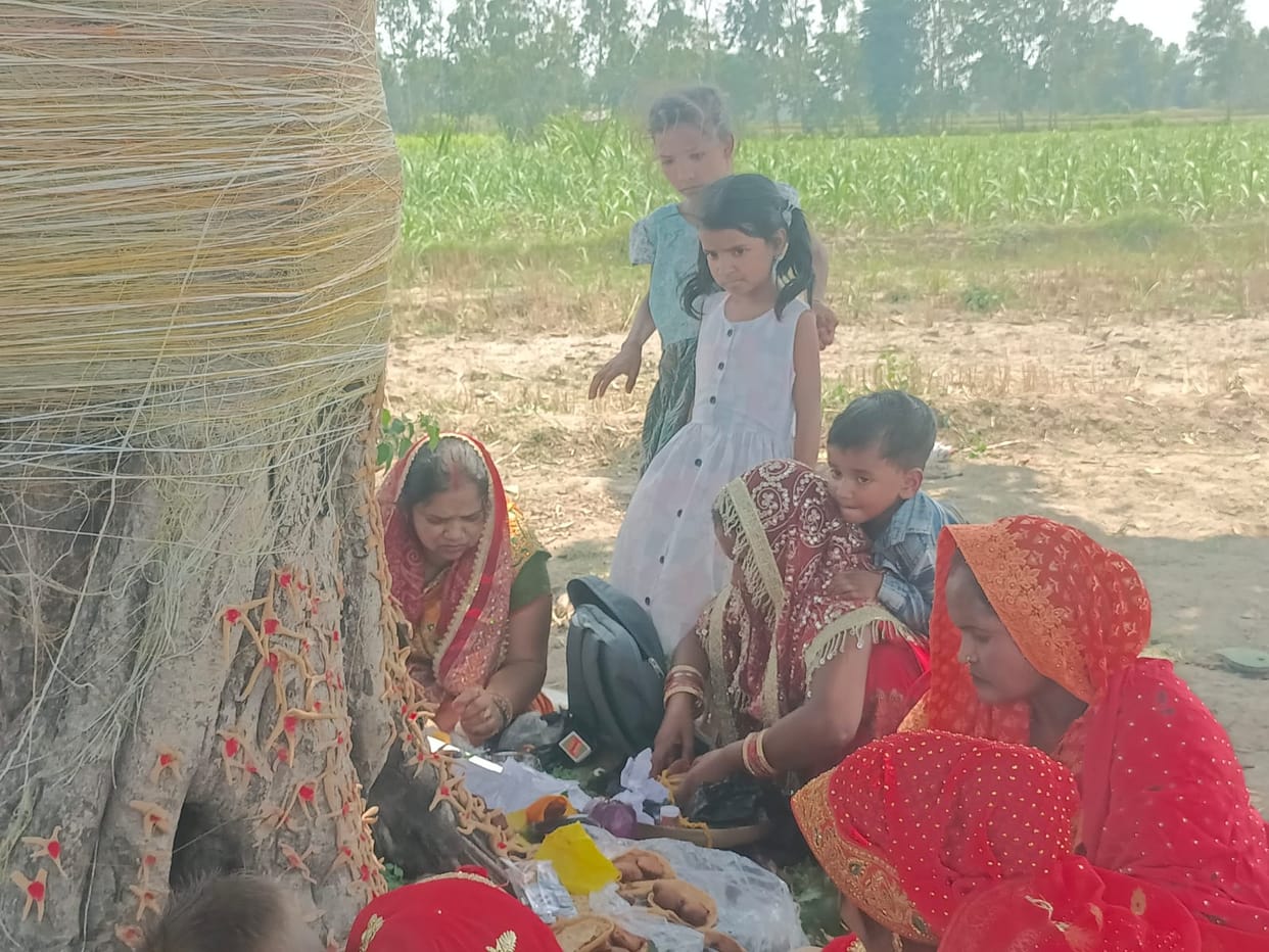 Married women tied a raw thread of faith on the banyan tree for the long life of their husbands.