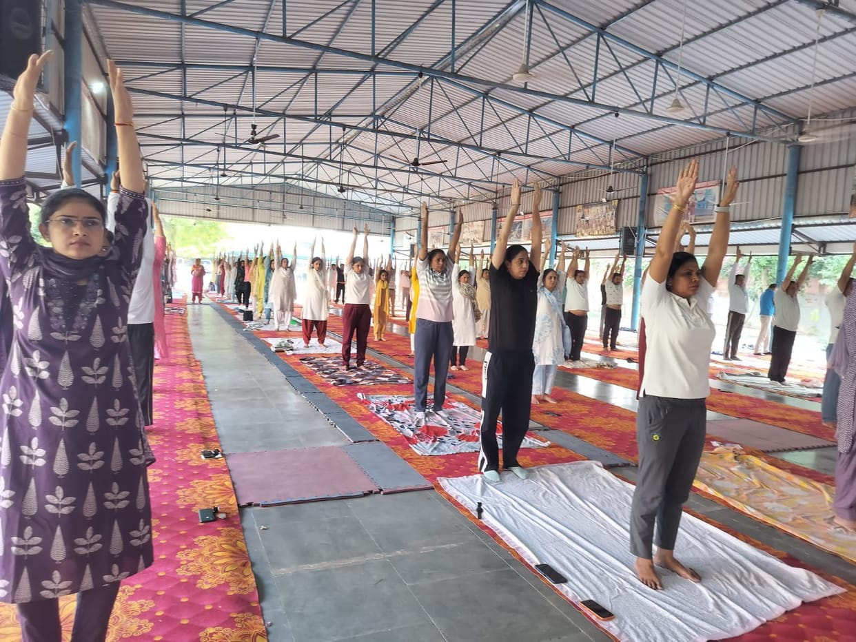Yoga: The Foundation of a Healthy Lifestyle