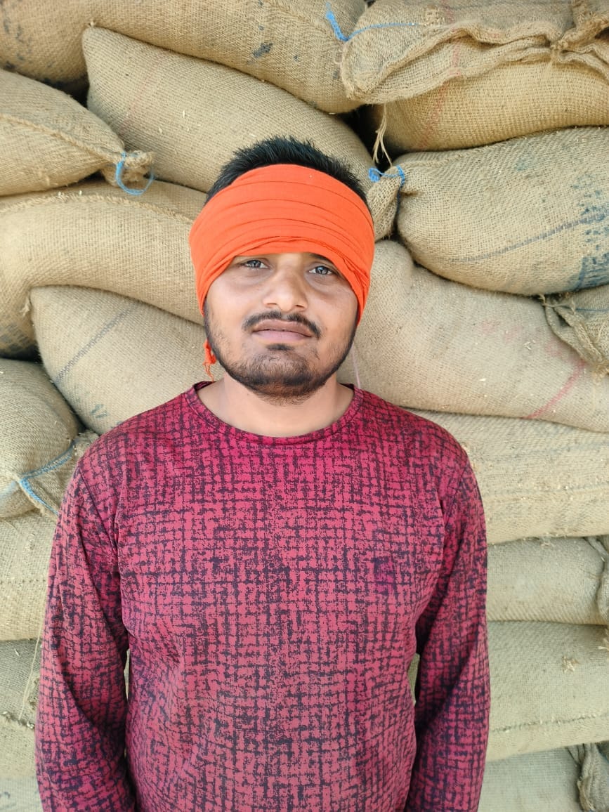 Farmers toil in the sun to sell wheat after toiling hard.