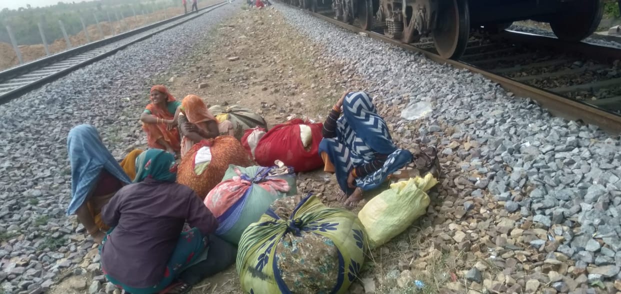Theft of tendu leaves from the forest continues, authorities fail to stop it