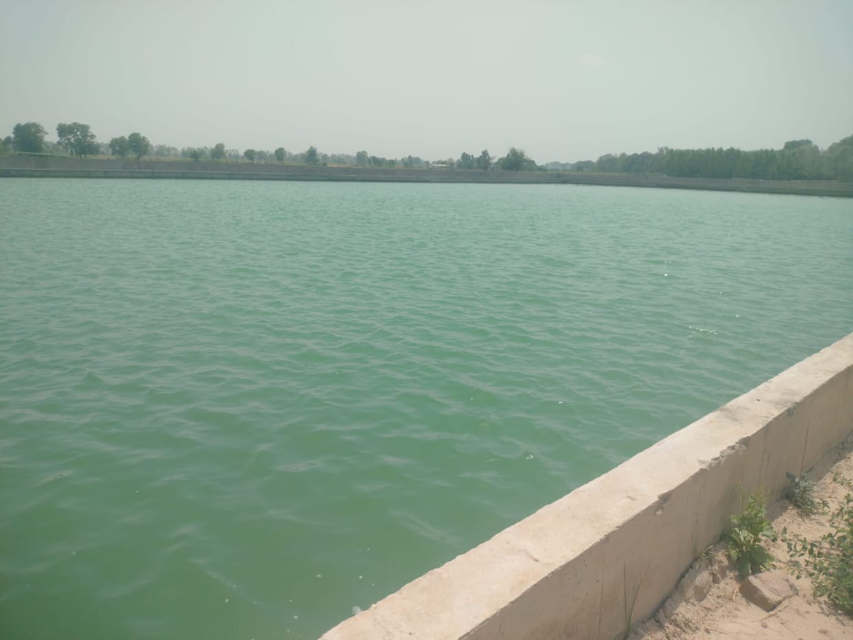 Both the water tanks of Hindol village's waterworks are full of water, yet the supply has stopped for a week.