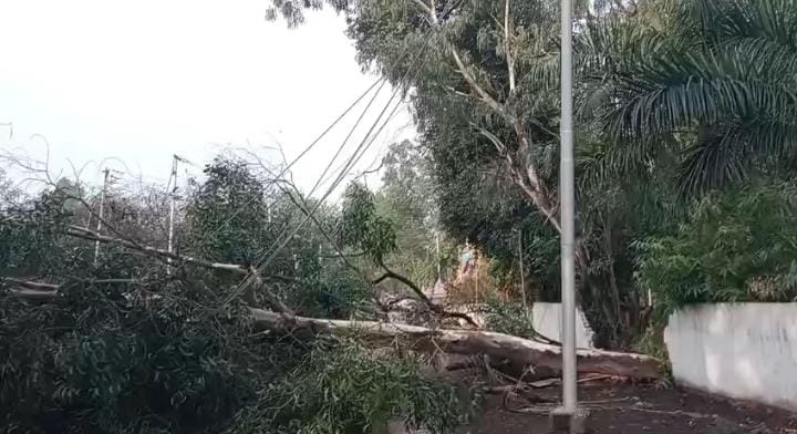 बेमौसम का कहर