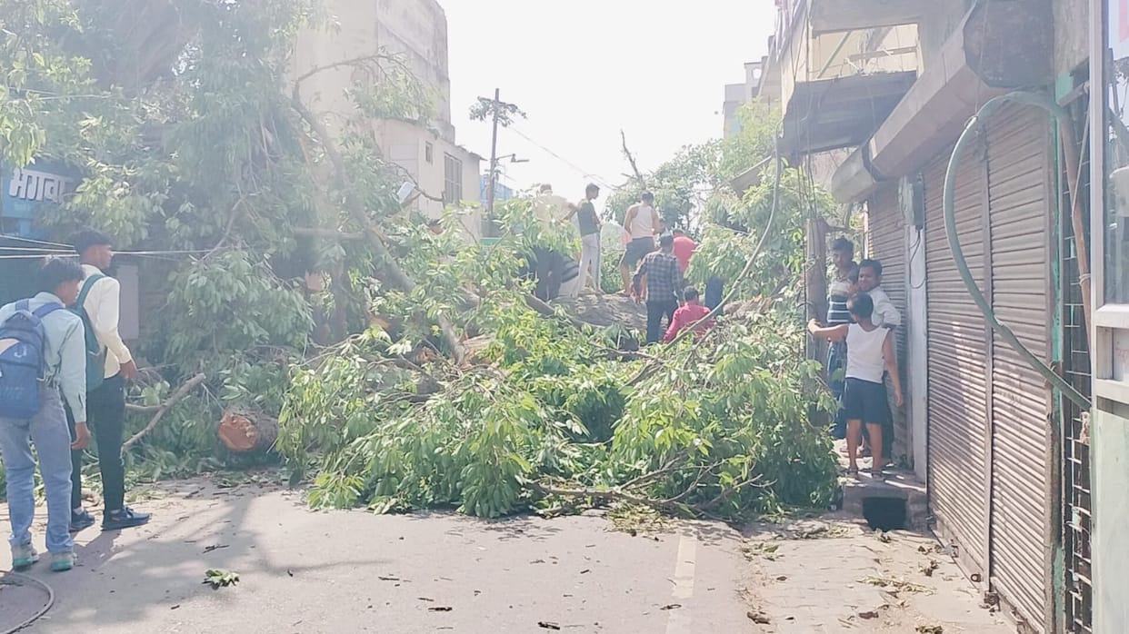 Station Road remained closed all day due to tree felling; merchants created an uproar over the resulting losses.