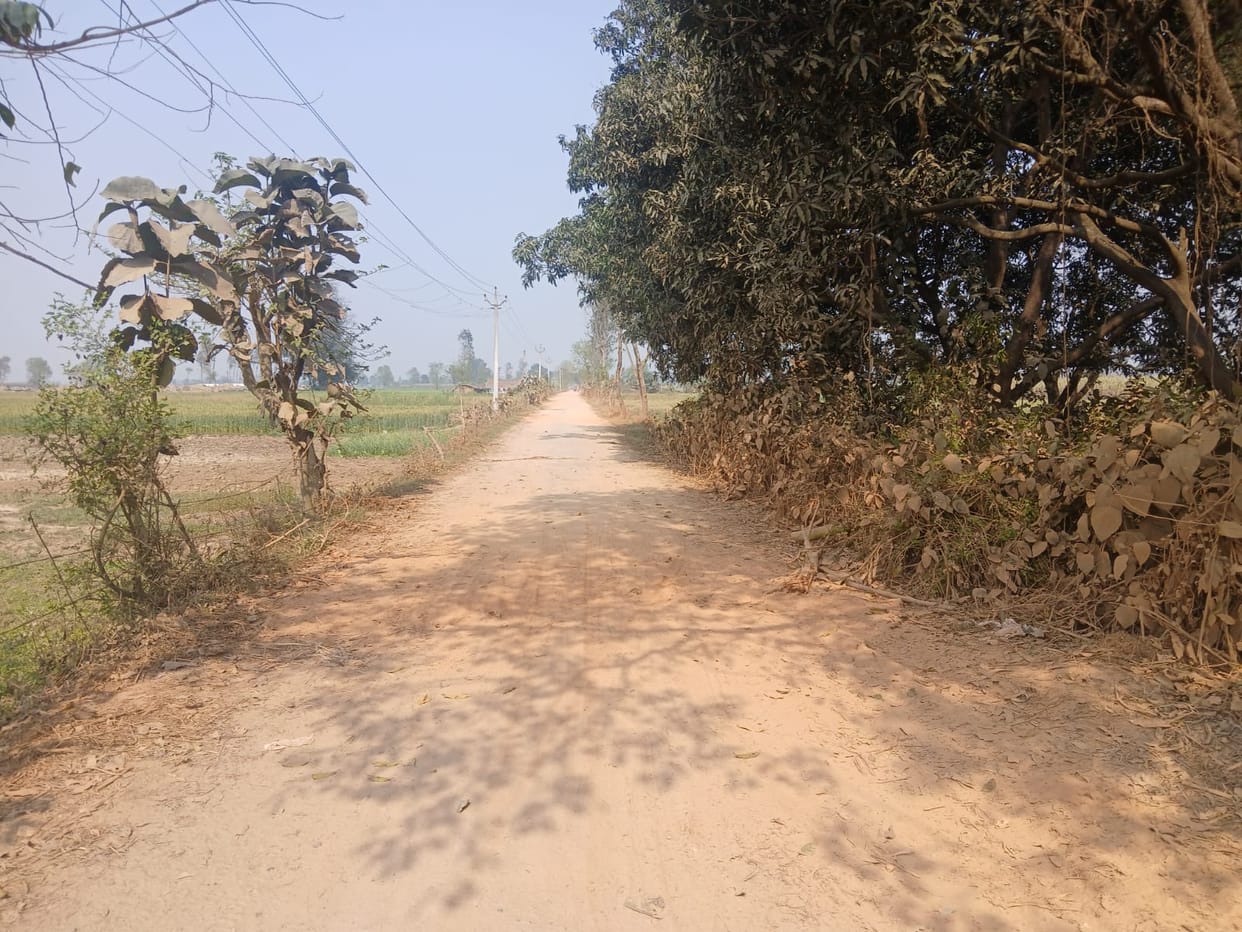 There was once a road, now only traces remain.