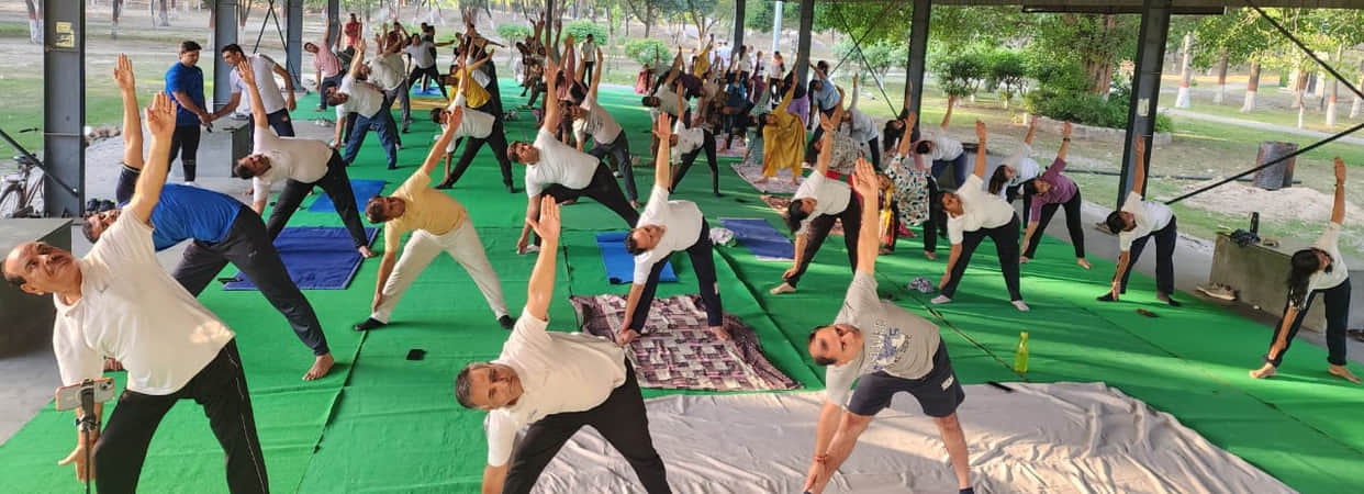 357 participants learned yoga