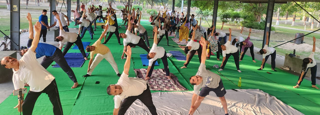 357 participants learned yoga