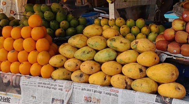 Brinjals from Vijayawada and Odisha have arrived in the market, priced at Rs 60 per kg