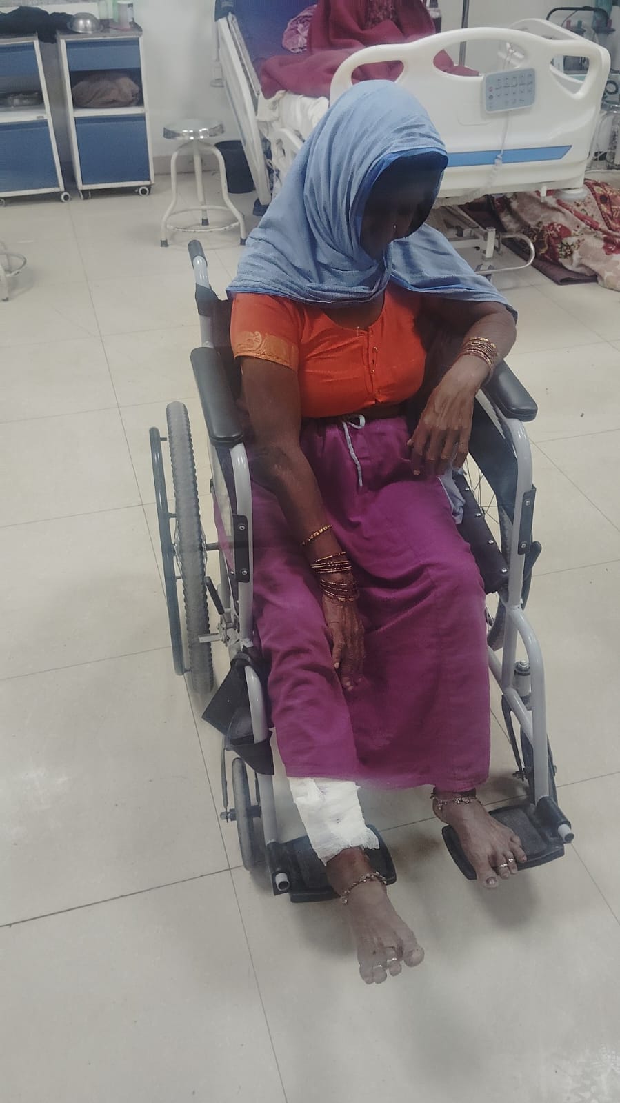 Dogs became aggressive in the heat and attacked five people.
