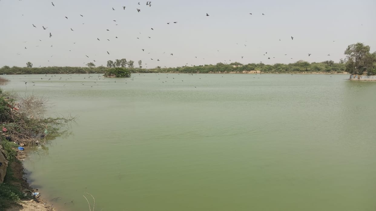 Boats may start operating on Blue Bird Lake this very month