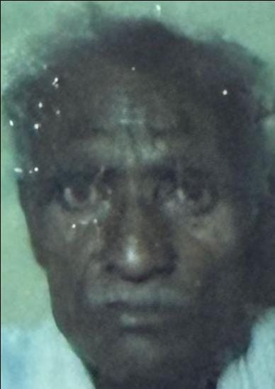 Elderly man dies after drowning in river