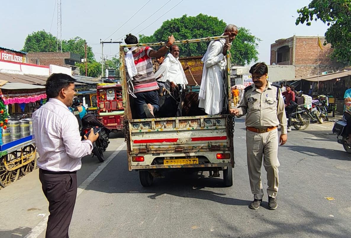Major action by the Transport Department, eight vehicles seized and 56 challans issued