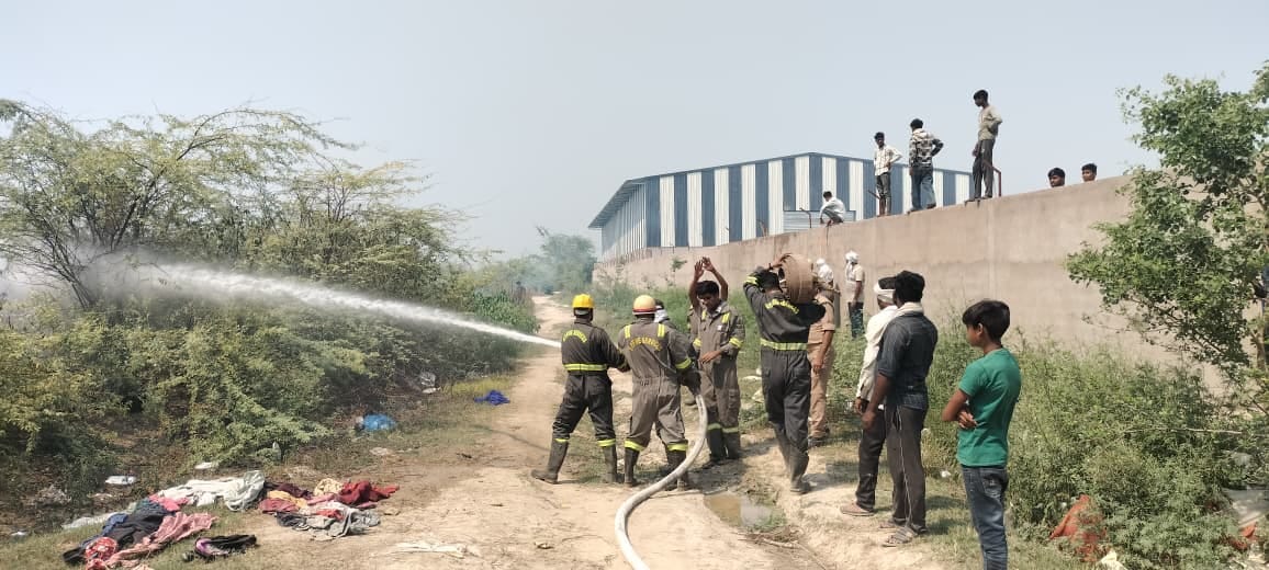 Hundreds of trees on forest department land caught fire