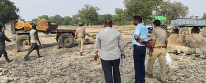 Forest Department Seizes Trolley Loaded with Timber