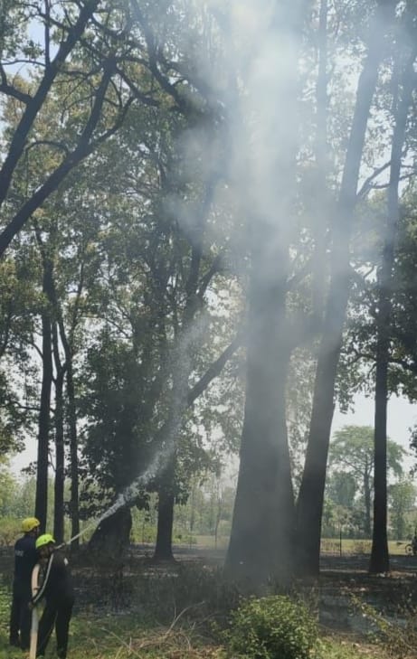 बनबसा सेना छावनी के पीछे पेड़ों में लगी आग बुझाते दमकल कर्मी। स्रोत : पुलिस
