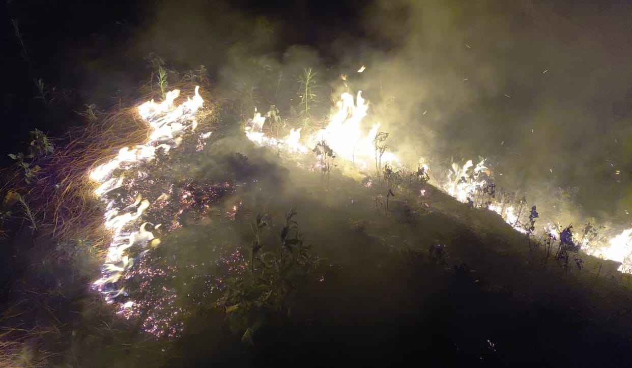 A massive forest fire broke out near Ladidhura.