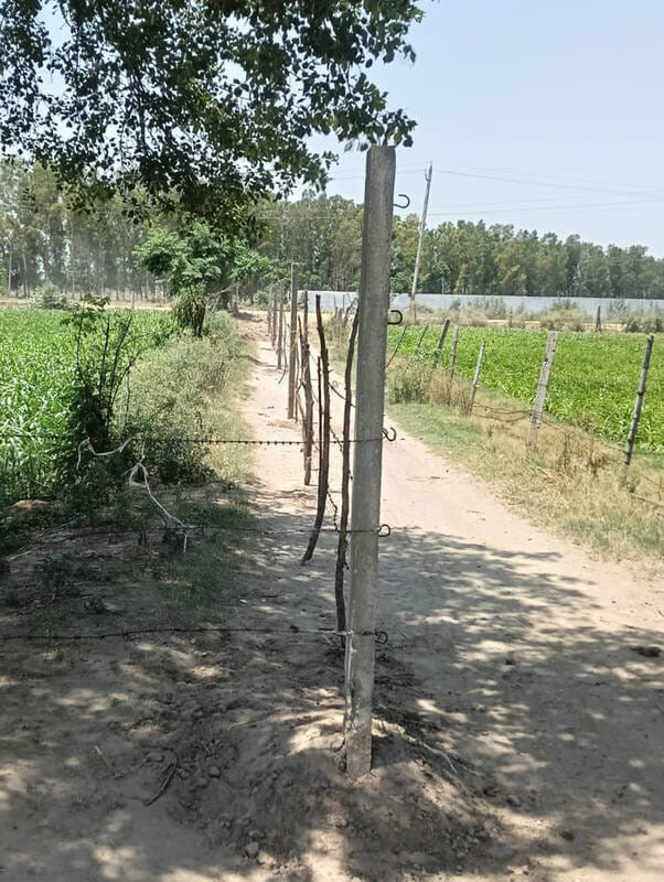 Allegation of encroachment on government road, demand for action from SDM
