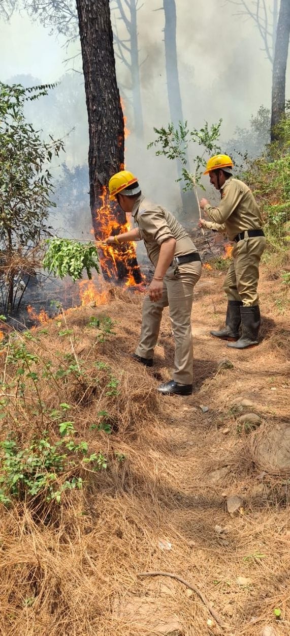 The fire in Chandrankadi forest has been raging for three days.