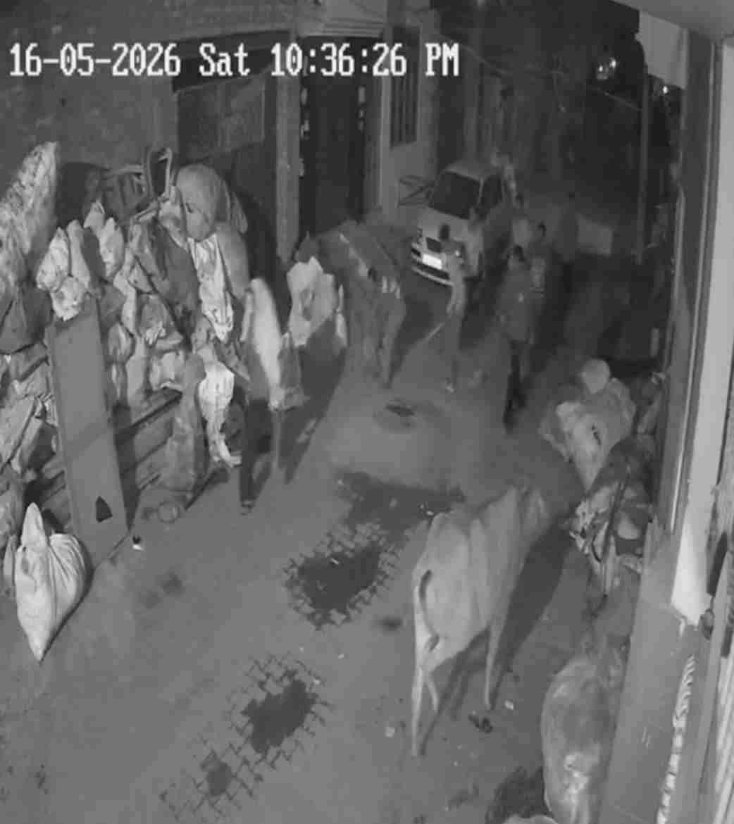 Fight between two groups in Bhagat Singh Nagar upsets people