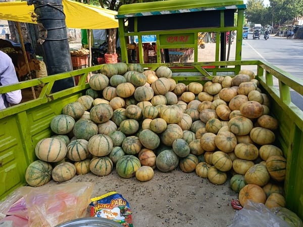 Markets filled with the fragrance of local muskmelons; prices drop.