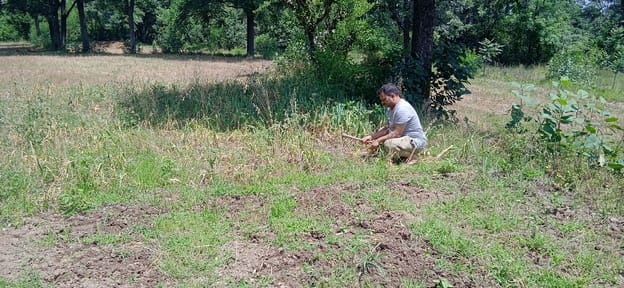 Garlic cultivation is changing the image of farmers in the district