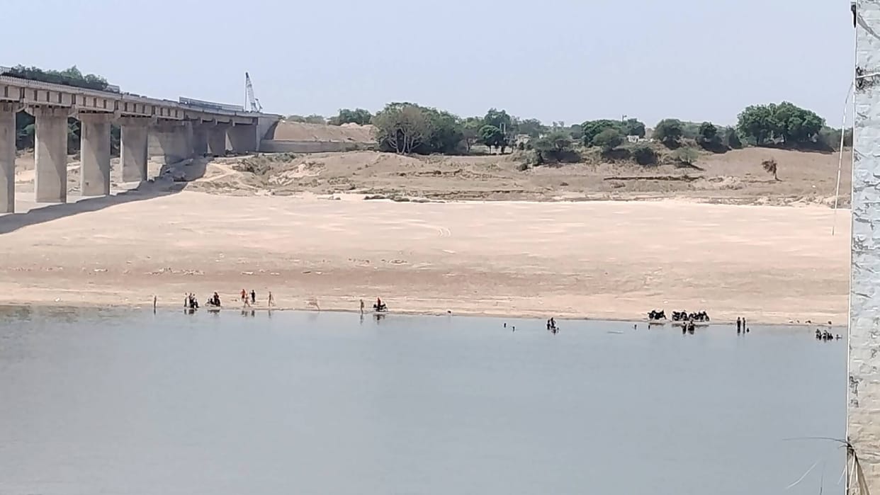 Youths bathing fearlessly amidst a family of crocodiles in the Chambal.