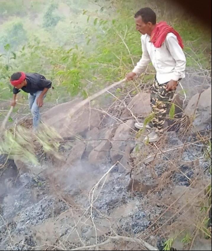 The fire, spreading from Madhya Pradesh, has reached the forests of Drummondganj.