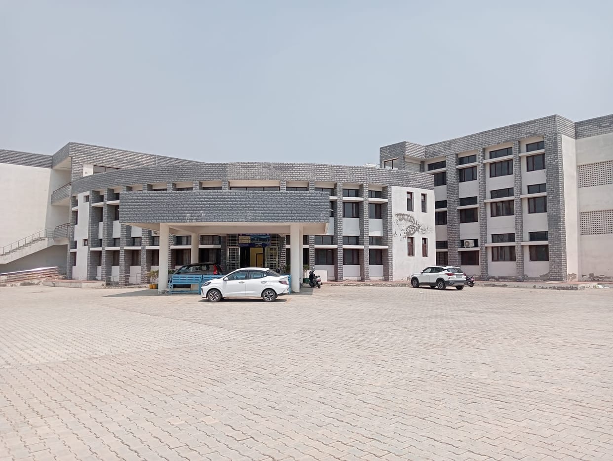 The trend of youth towards big universities and professional courses has increased.
