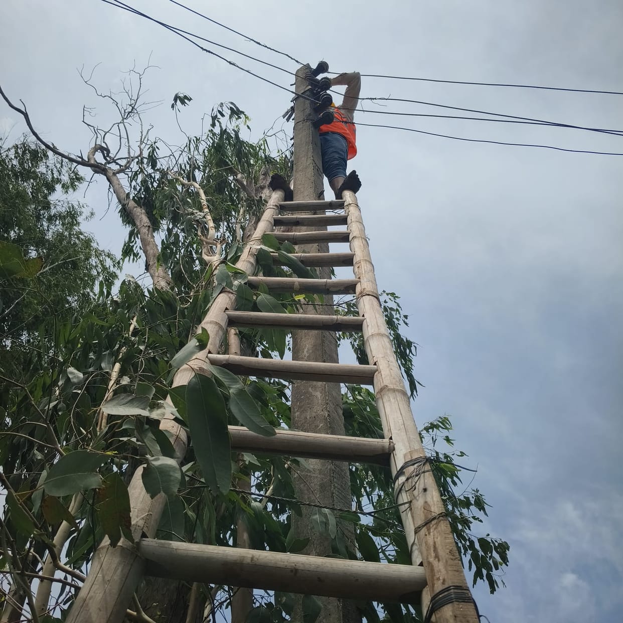 Fifty thousand people were troubled by the fault, electricity came for only three hours at night.