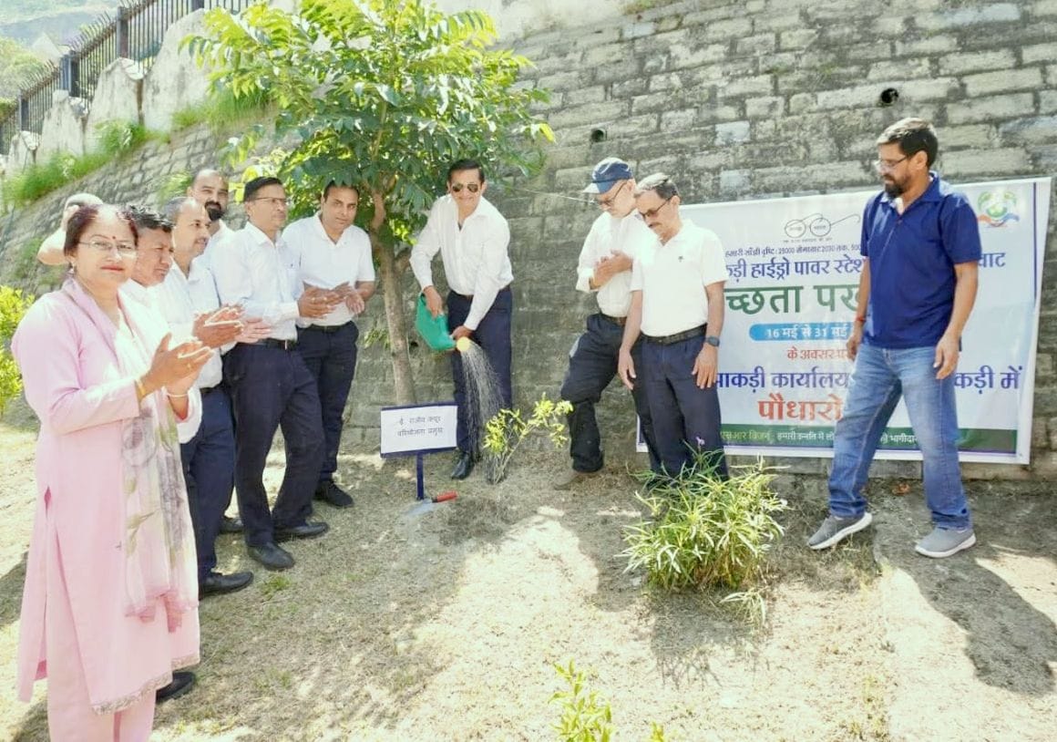 The message of environmental protection was given by planting trees in the bush