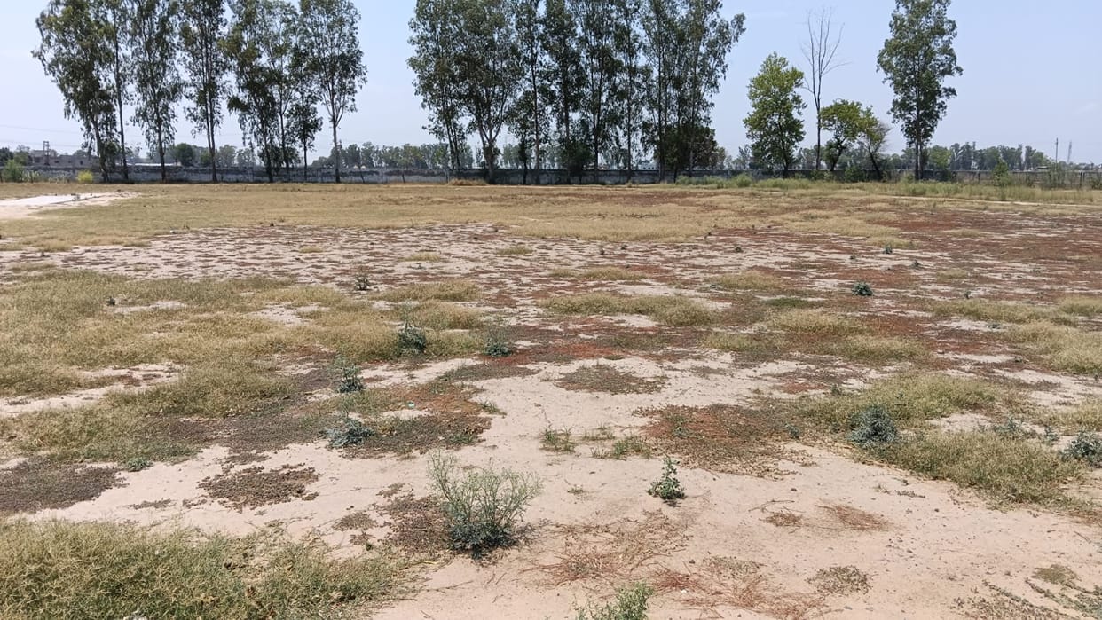 The game of misery... Neither is there a ground left to play, nor a coach to train. In Natthuwal, the condition of the block-level stadium built about 18 years ago for 26 villages is deplorable.