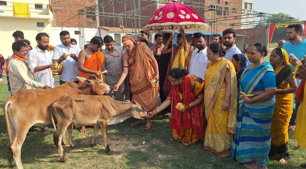 Vote to protect the country's Sanatani cow: Avimukteshwarananda