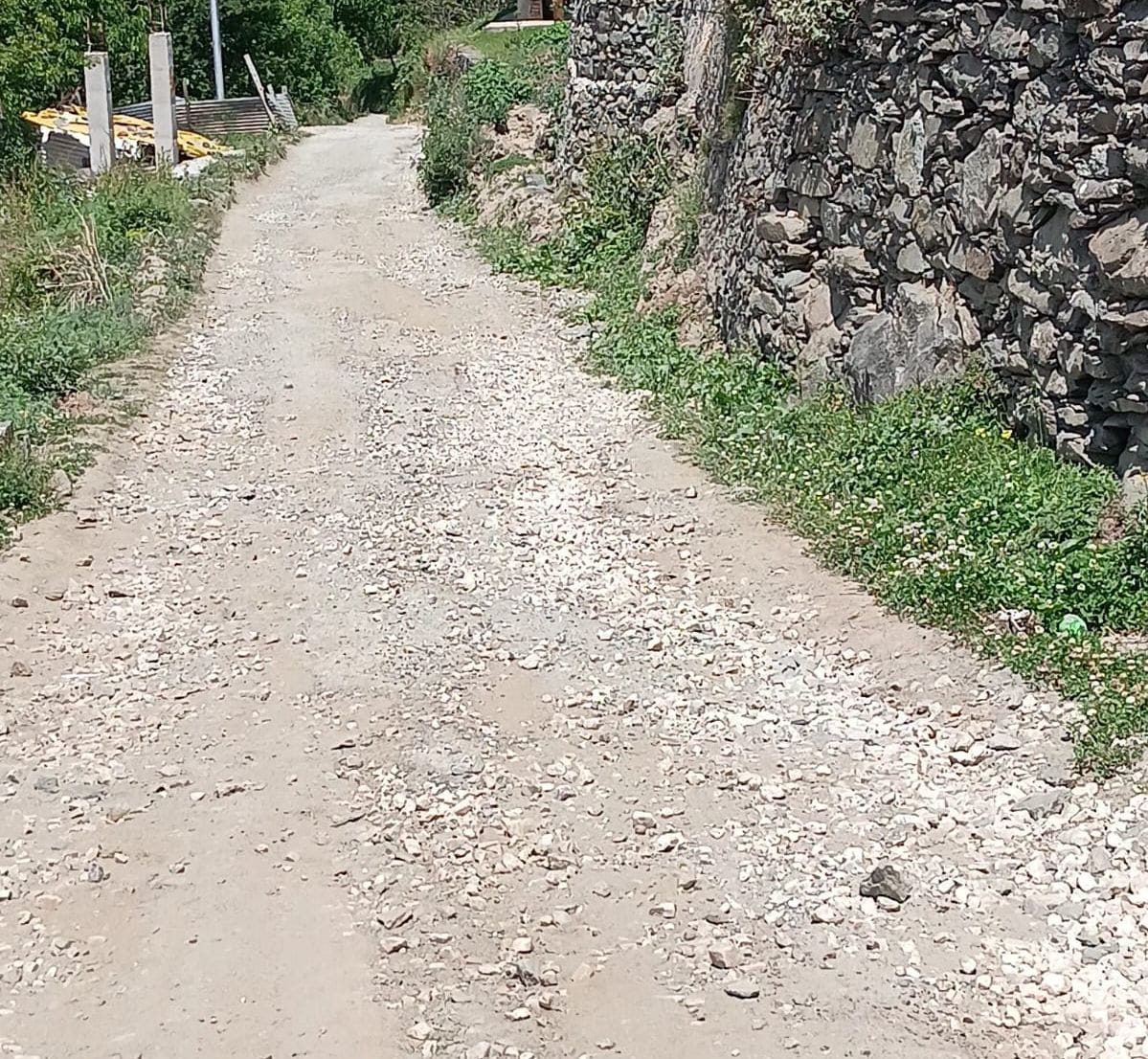 Patients, school children, gardeners and animal keepers from 10 panchayats of Zila Parishad Ward Jhakri are troubled