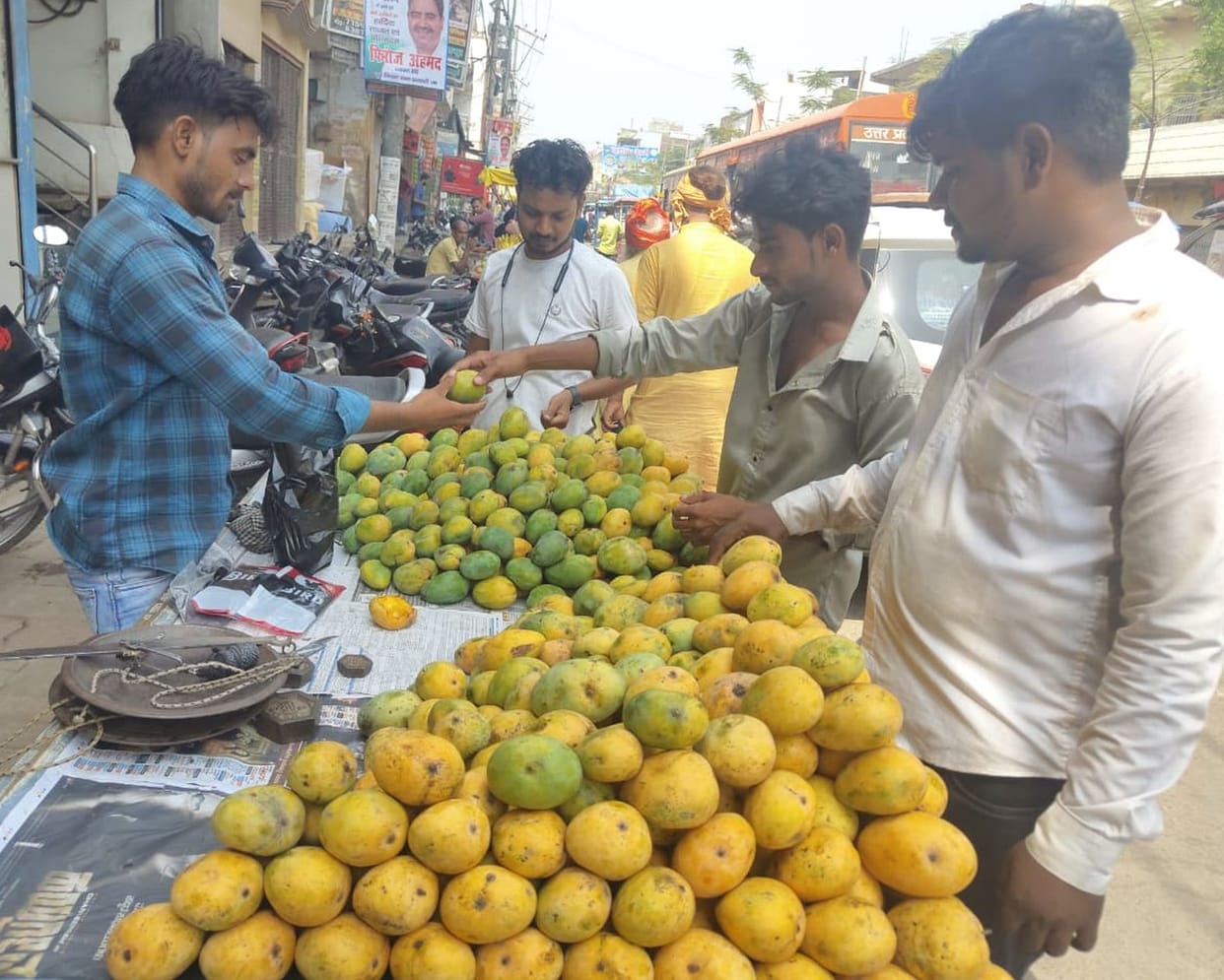 The aroma of mango in the market, demand for almond-saffron