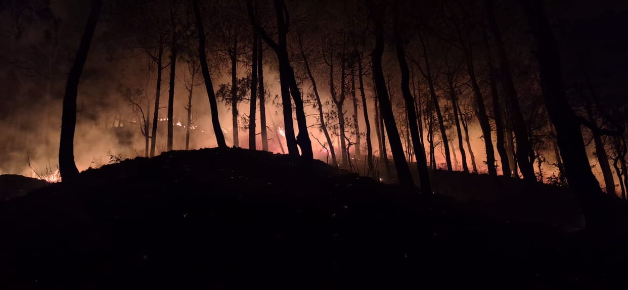 Fire broke out in Balyah forest of Barsar