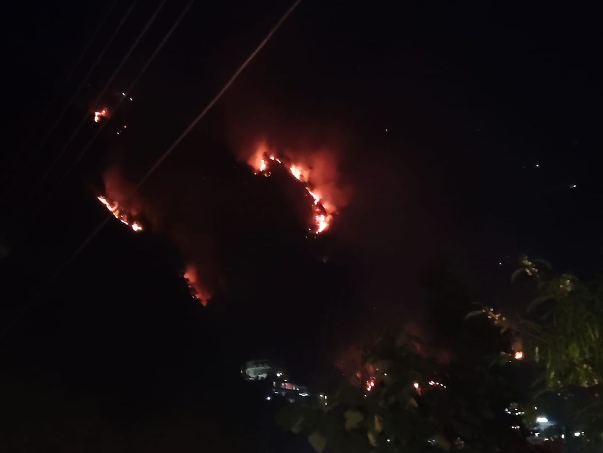 When the efforts failed, the clouds extinguished the forest fire.