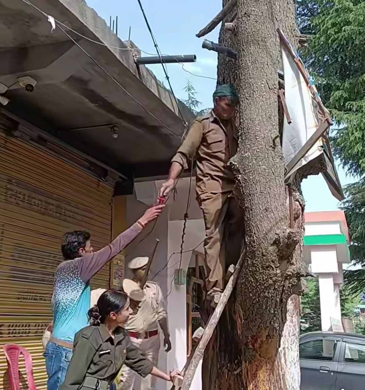 Campaign to remove hoardings from trees launched in Churah Forest Division